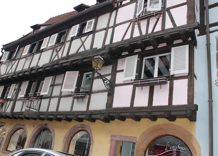 Les Violettes Colmar